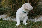 IMG_2393.JPG