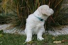 IMG_2394.JPG