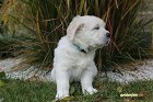 IMG_2396.JPG