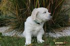 IMG_2398.JPG