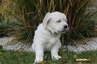 IMG_2399.JPG