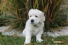 IMG_2400.JPG