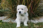 IMG_2402.JPG
