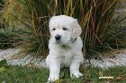 IMG_2403.JPG