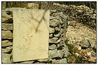 Peste -3- (Copier).JPG
