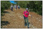 Peste -13- (Copier).JPG