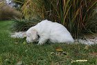 IMG_2416.JPG