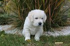 IMG_2417.JPG