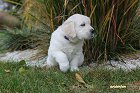 IMG_2420.JPG