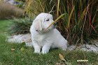 IMG_2423.JPG