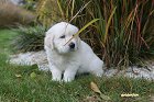 IMG_2424.JPG