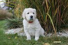 IMG_2438.JPG