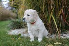 IMG_2440.JPG