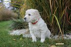 IMG_2441.JPG