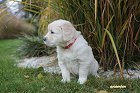 IMG_2443.JPG