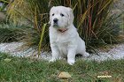 IMG_2452.JPG