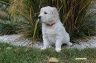 IMG_2455.JPG