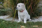 IMG_2456.JPG