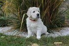 IMG_2465.JPG