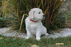 IMG_2467.JPG