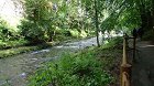 DSC08970.JPG