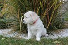 IMG_2477.JPG