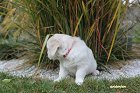 IMG_2478.JPG