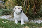 IMG_2482.JPG