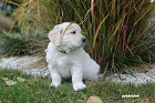 IMG_2484.JPG