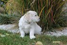 IMG_2488.JPG