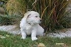 IMG_2489.JPG
