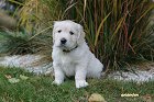 IMG_2490.JPG
