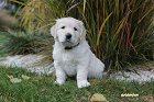 IMG_2492.JPG
