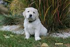 IMG_2496.JPG