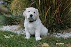 IMG_2498.JPG
