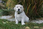 IMG_2500.JPG