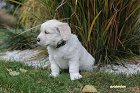 IMG_2502.JPG