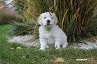 IMG_2515.JPG