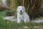 IMG_2517.JPG