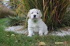 IMG_2520.JPG