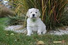 IMG_2521.JPG