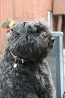 IMG_7932.JPG