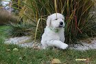 IMG_2538.JPG