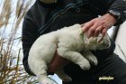 IMG_2539.JPG