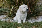 IMG_2541.JPG