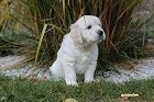 IMG_2542.JPG