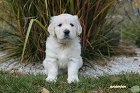 IMG_2557.JPG