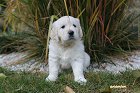 IMG_2571.JPG