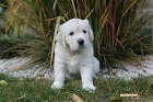 IMG_2574.JPG
