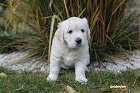 IMG_2575.JPG